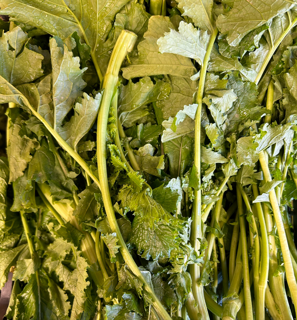 Cime Di Rapa