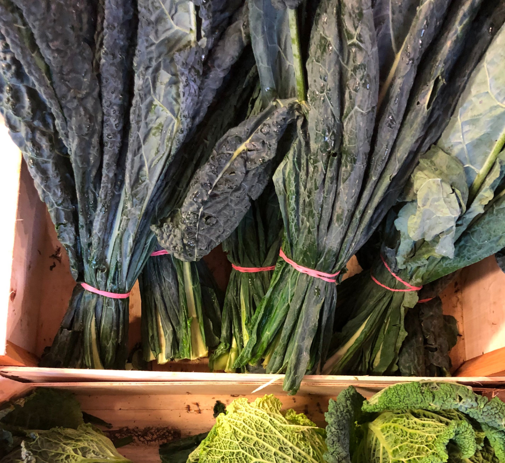 Cavolo Nero