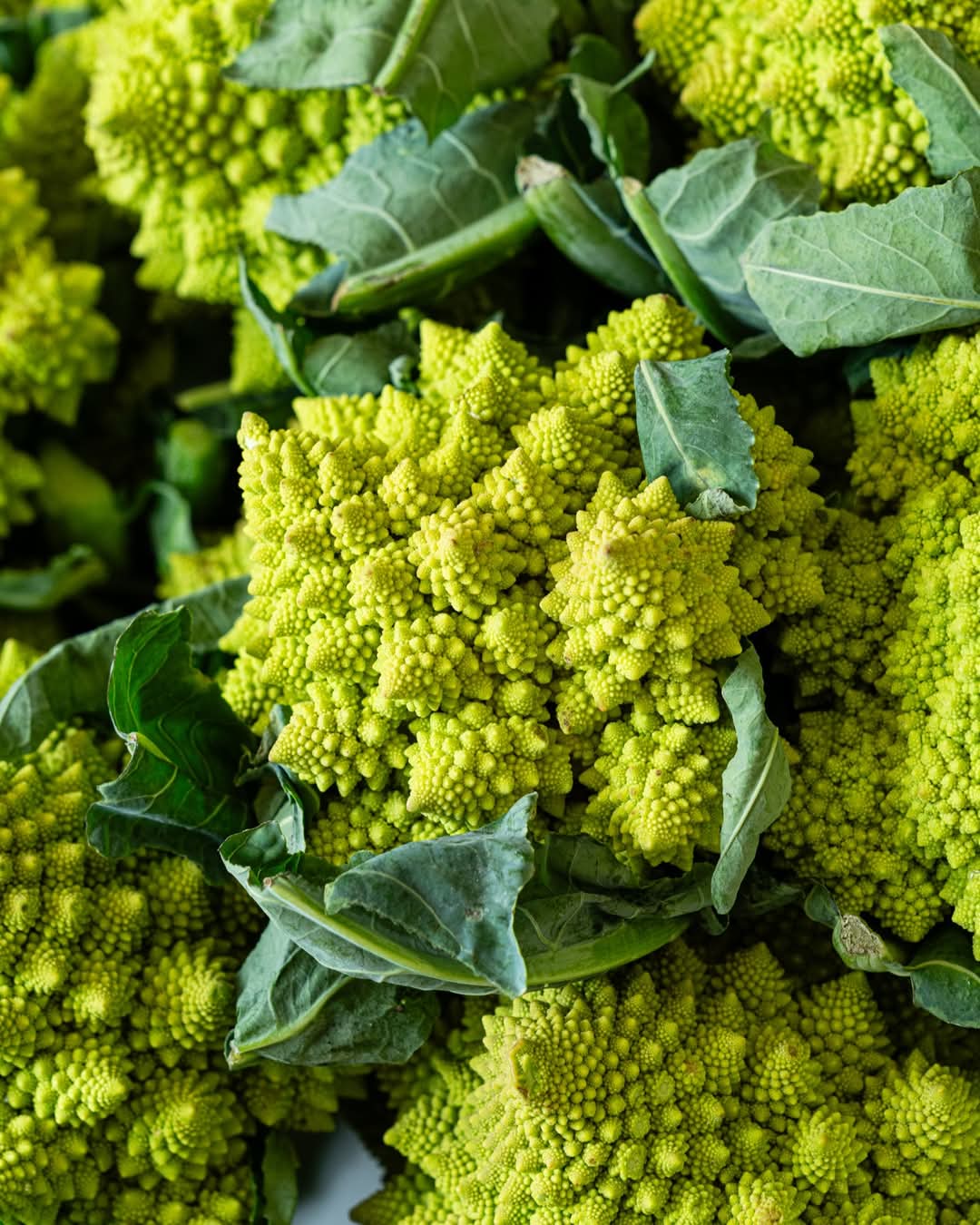 Cavolo Romanesco