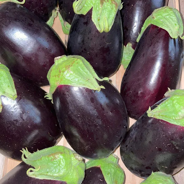 Melanzane Tonde