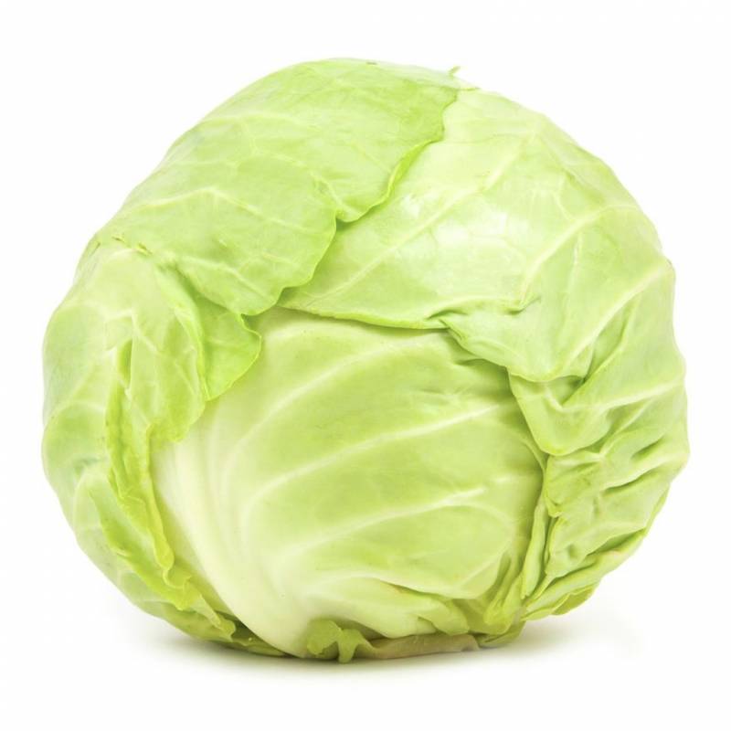Cavolo Cappuccio
