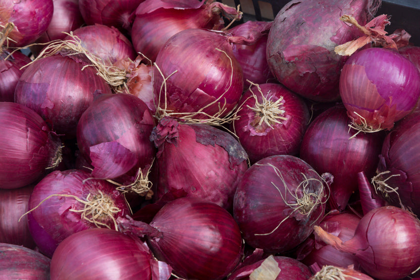 Cipolla Rossa