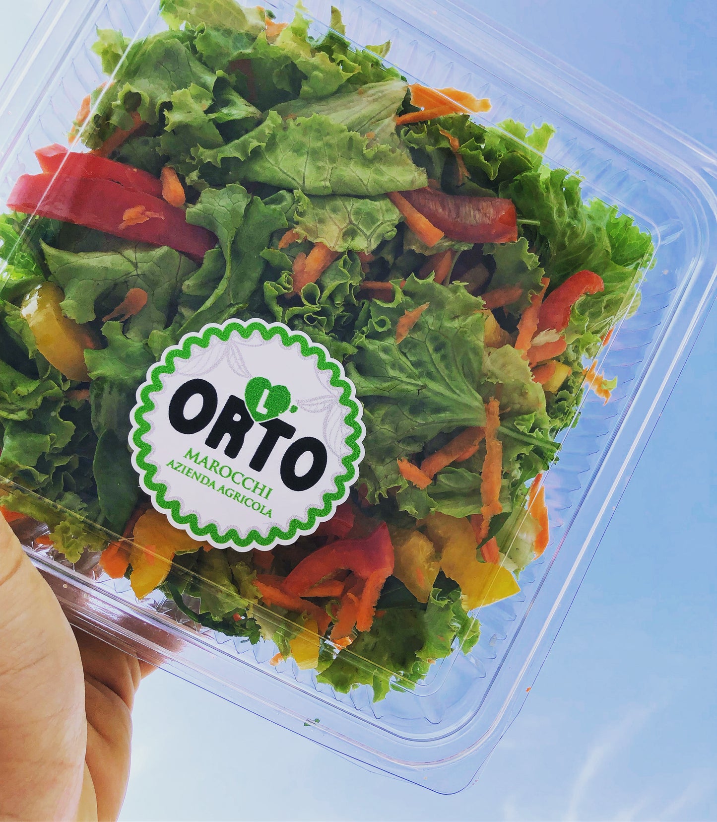 Insalatina già lavata e pronta