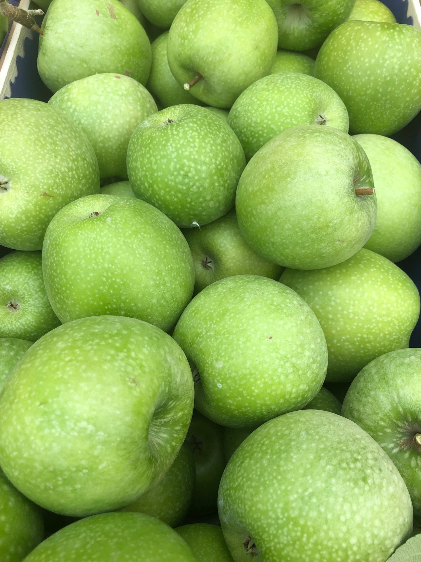 Mele Granny Smith