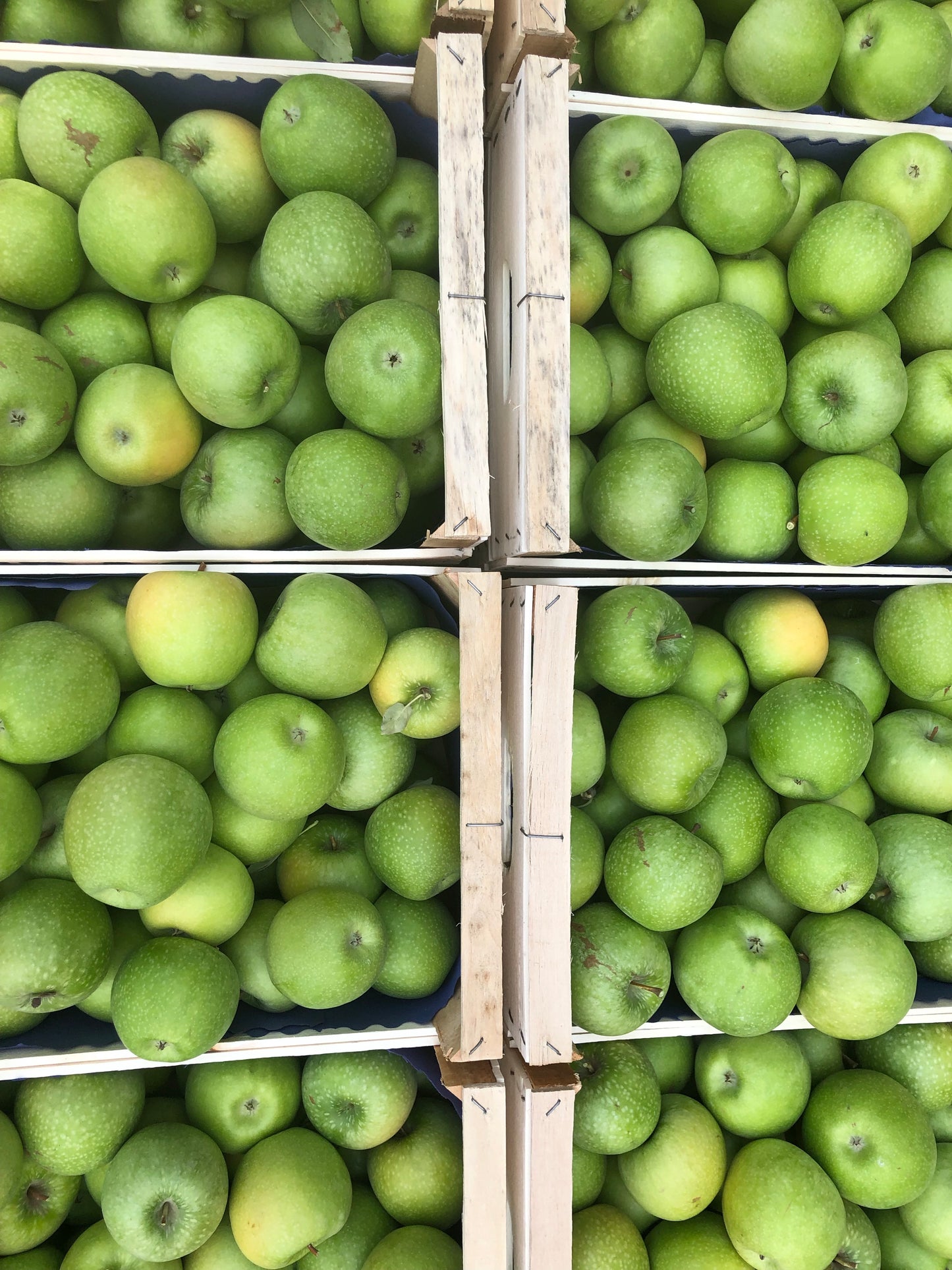 Mele Granny Smith