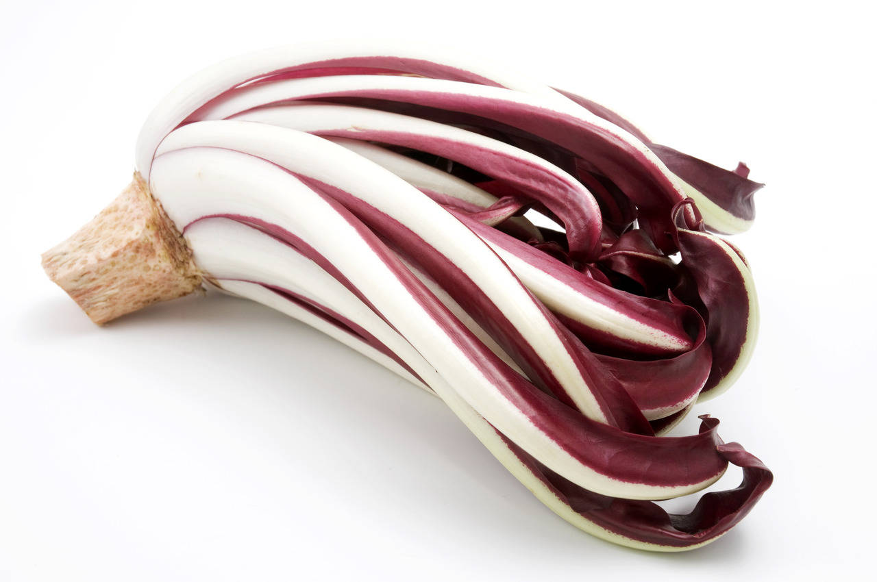 Radicchio Tardivo