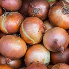 Cipolla Dorata