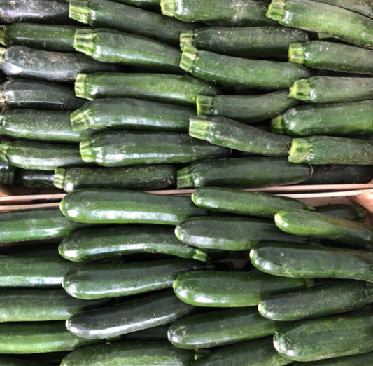 Zucchine Scure