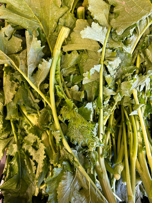 Cime di rapa