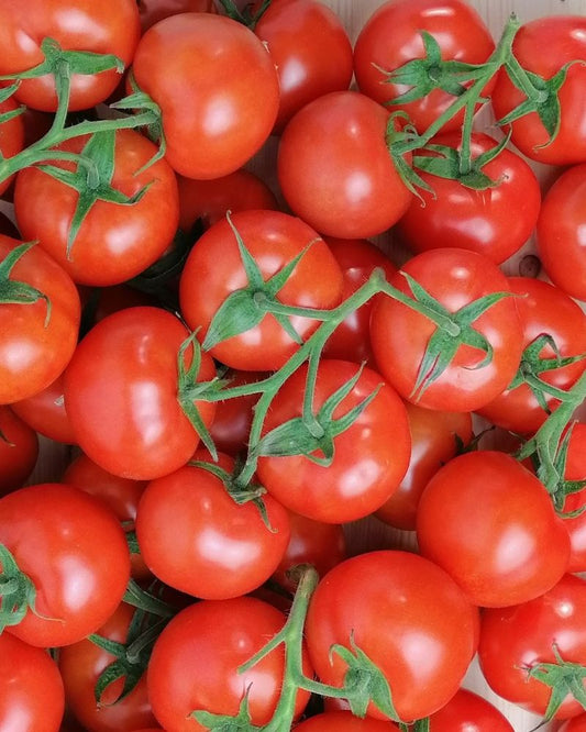 Pomodoro Grappolo