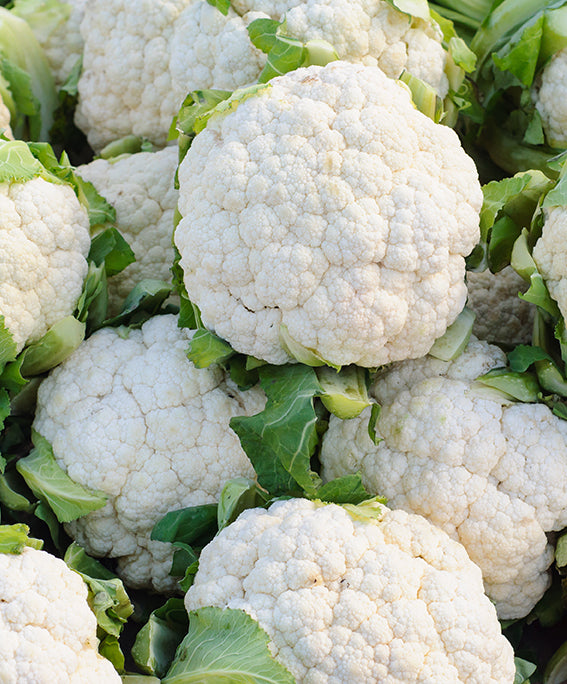 Cavolfiore Bianco