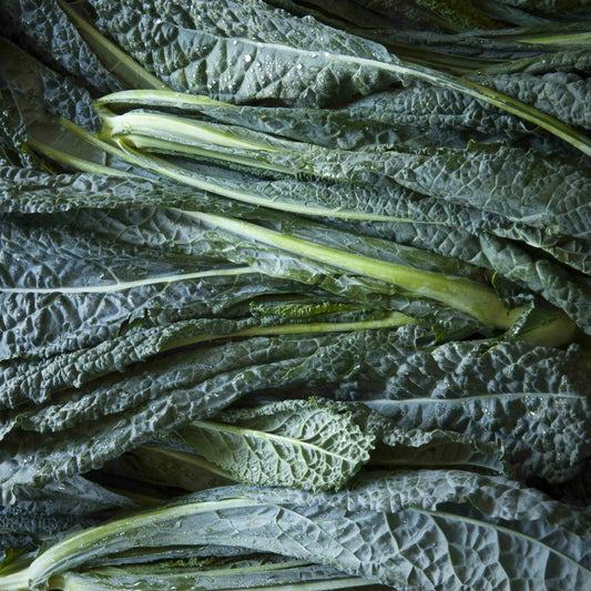 Cavolo Nero