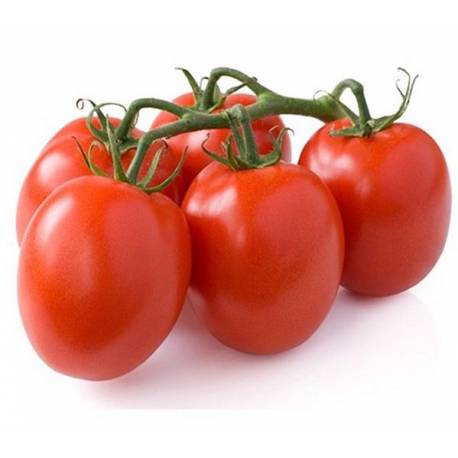 Pomodoro piccadilly