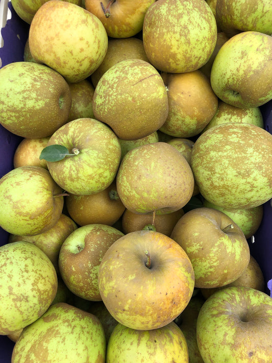 Mele Golden ruggine
