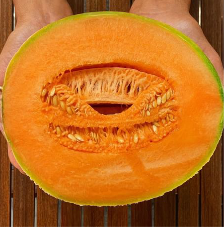Melone Liscio