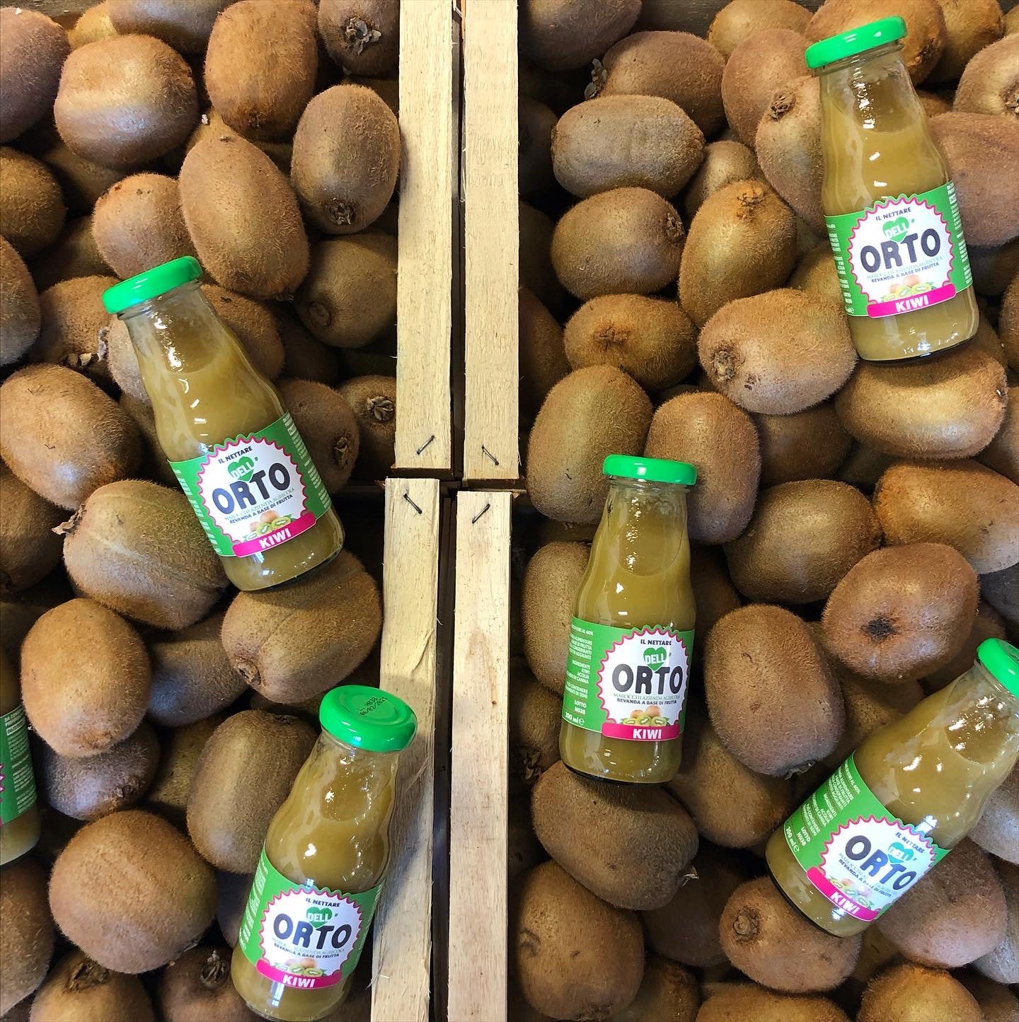 Nettare di kiwi