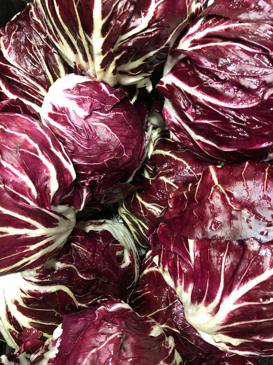 Radicchio tondo rosso