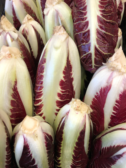 Radicchio lungo